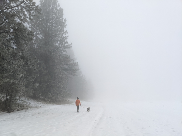 Boy walking into a vanishing point because of the dense fog.