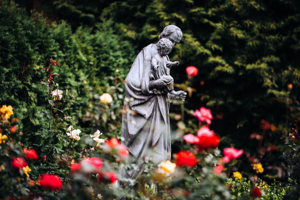 Statue in garden with roses. Contemplative scene.